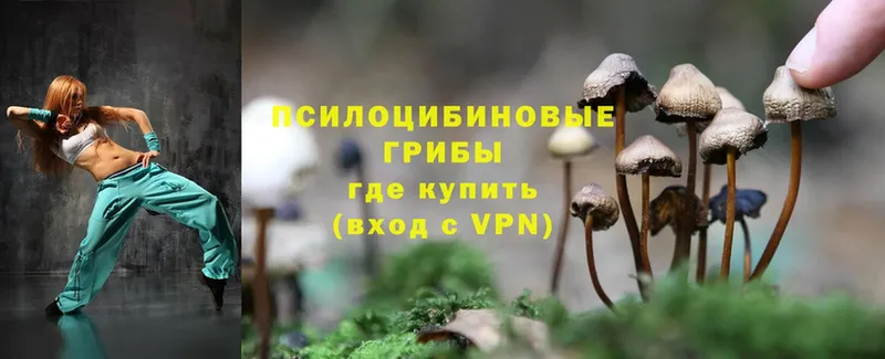 Галлюциногенные грибы MAGIC MUSHROOMS  МЕГА как зайти  Гусев 